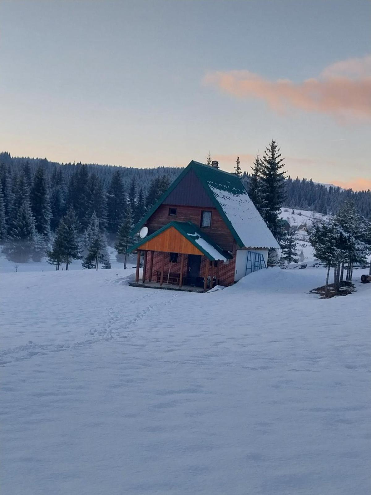House In Forest Žabljak Exterior foto
