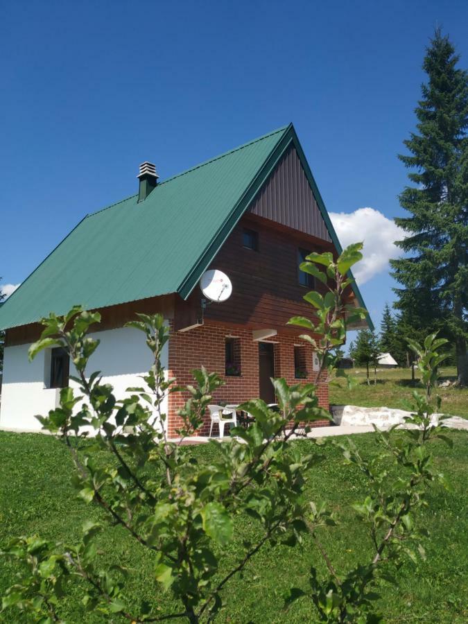 House In Forest Žabljak Exterior foto